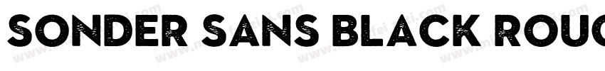 Sonder Sans Black Rough字体转换
